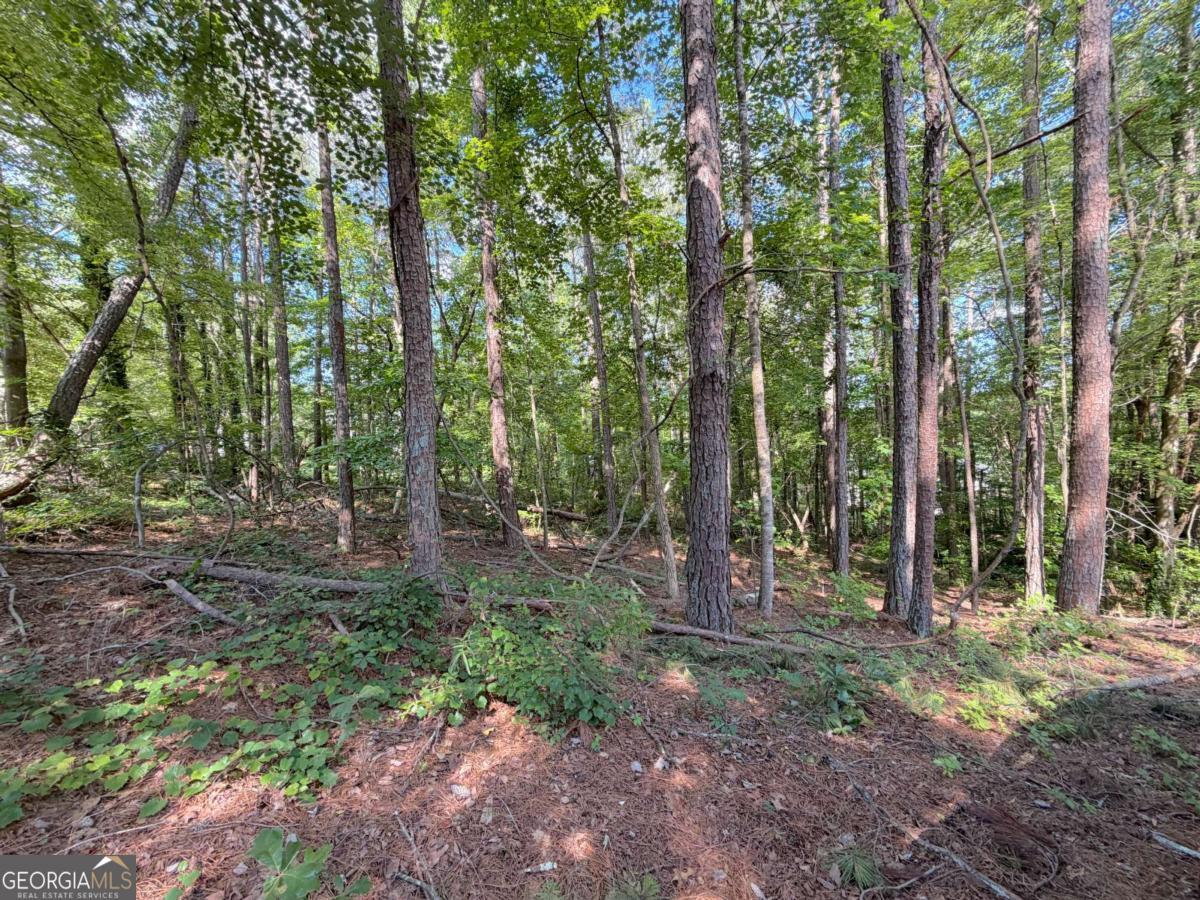 1306 Southgate Drive Property Photo 4