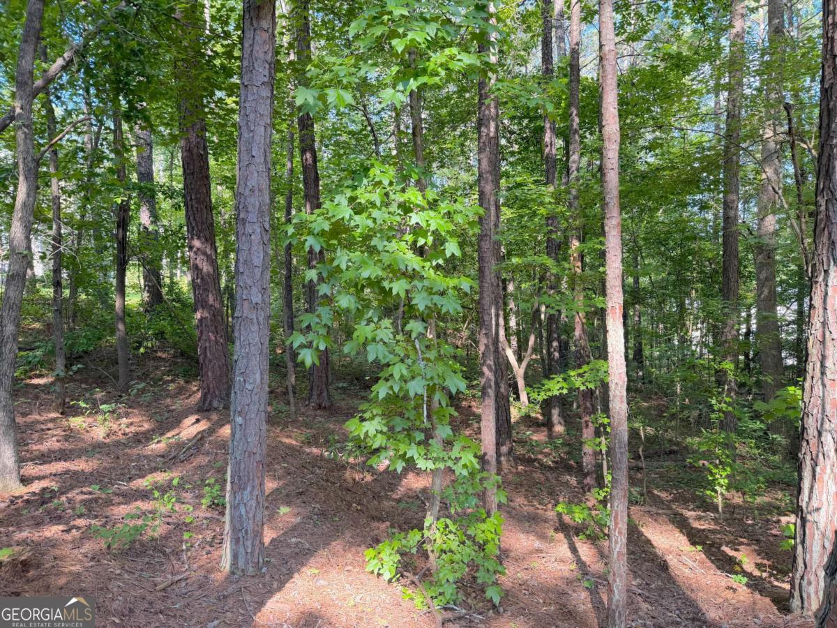 1306 Southgate Drive Property Photo 5