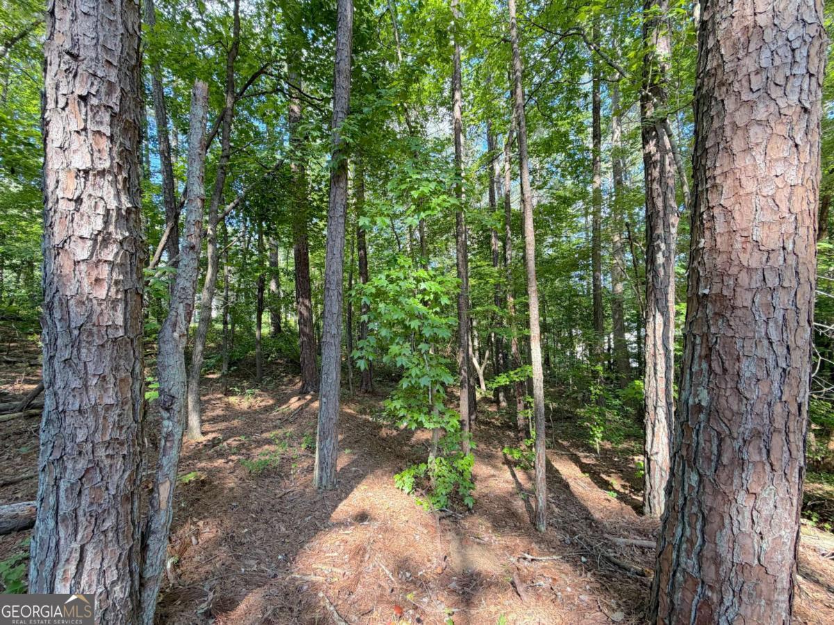 1306 Southgate Drive Property Photo 6