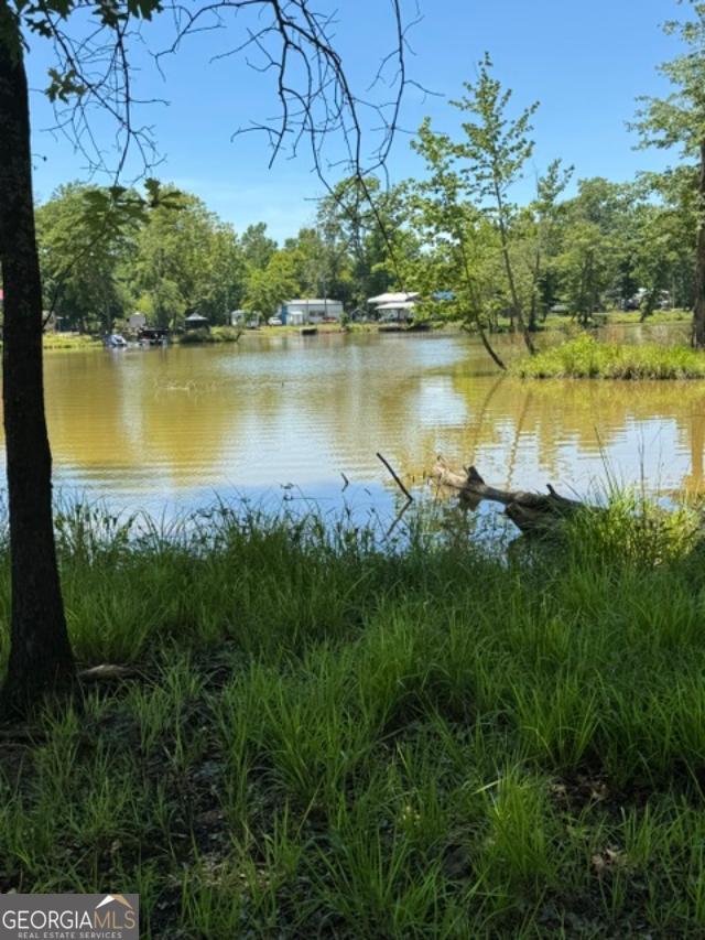 Lot 6 County Road 182 # 6 Property Photo 1