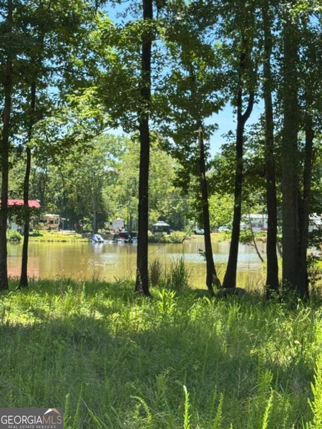 Lot 6 County Road 182 # 6 Property Photo 2