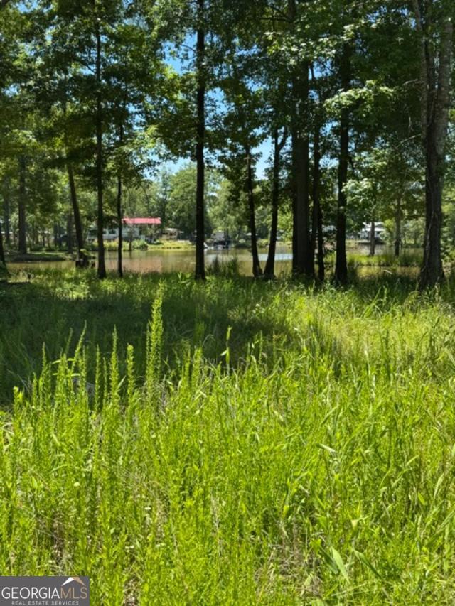 Lot 6 County Road 182 # 6 Property Photo 3