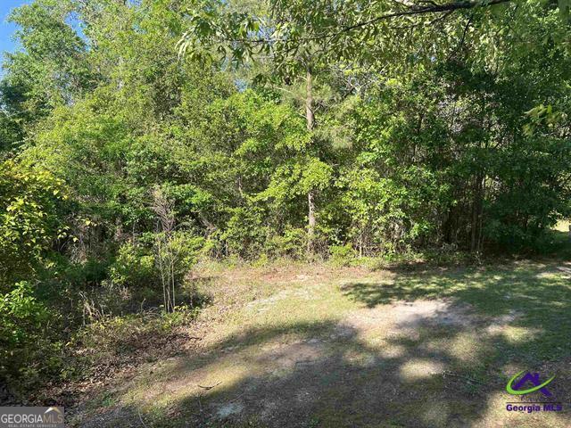 0 Michael Court Property Photo 1