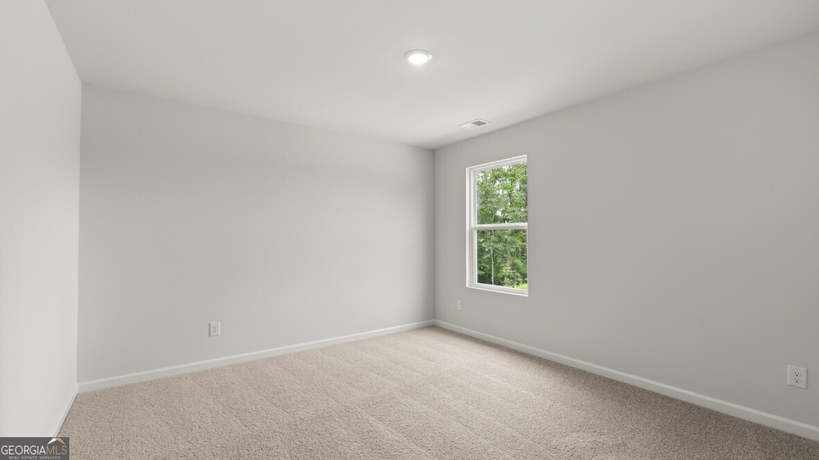 310 Duckweed Drive Property Photo 27