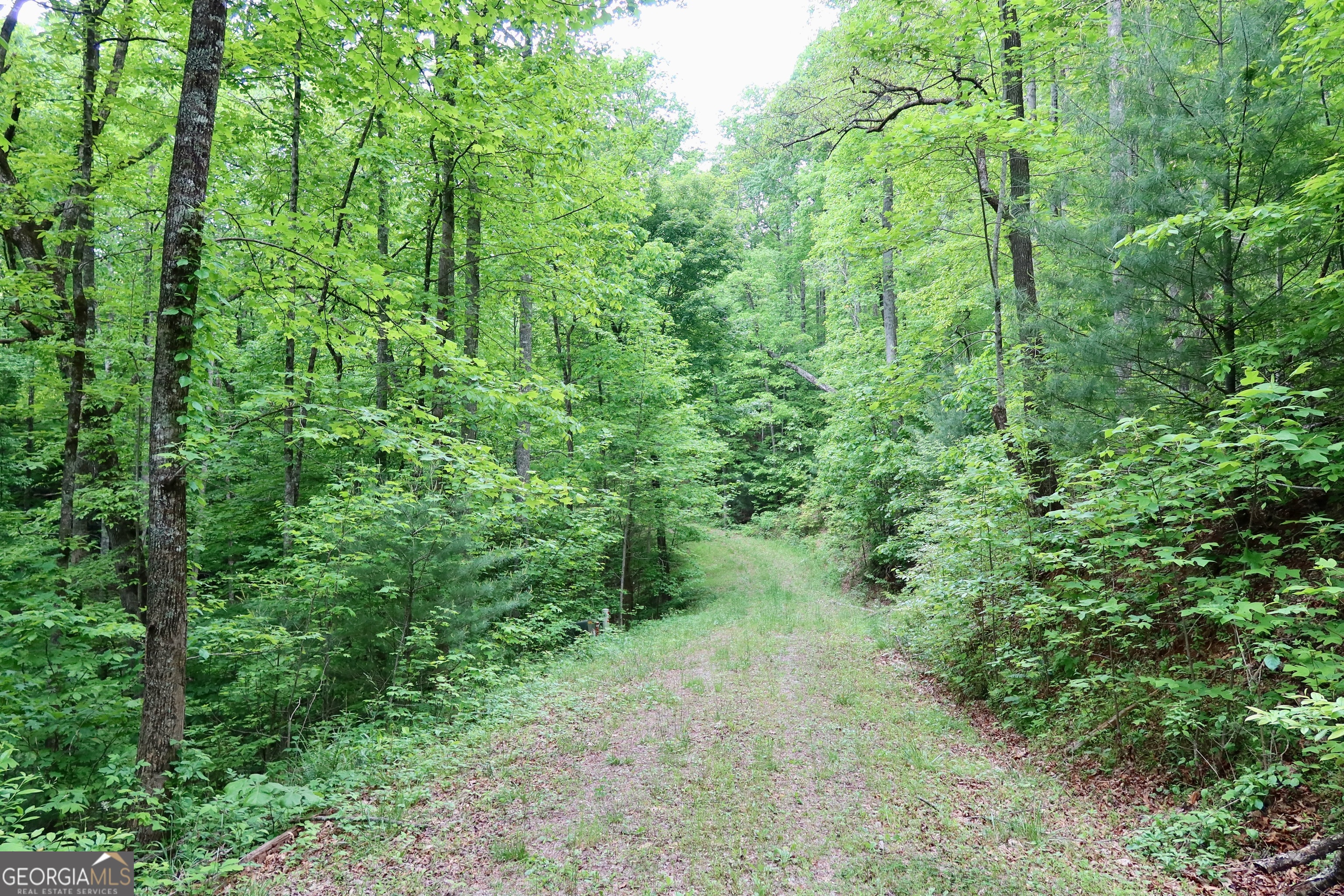 0 Bluff Mtn Property Photo 1