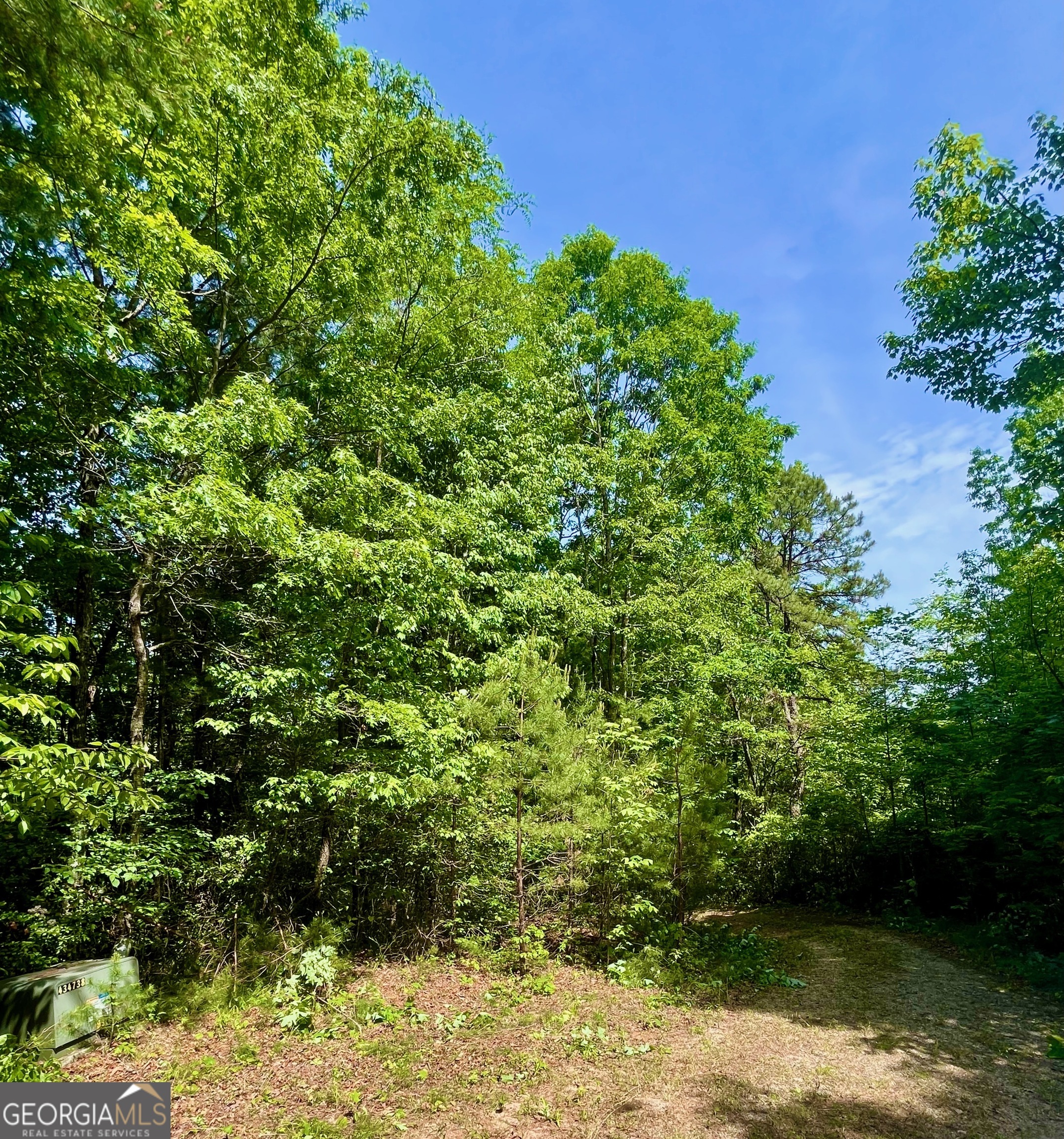 0 Bluff Mtn Property Photo 2