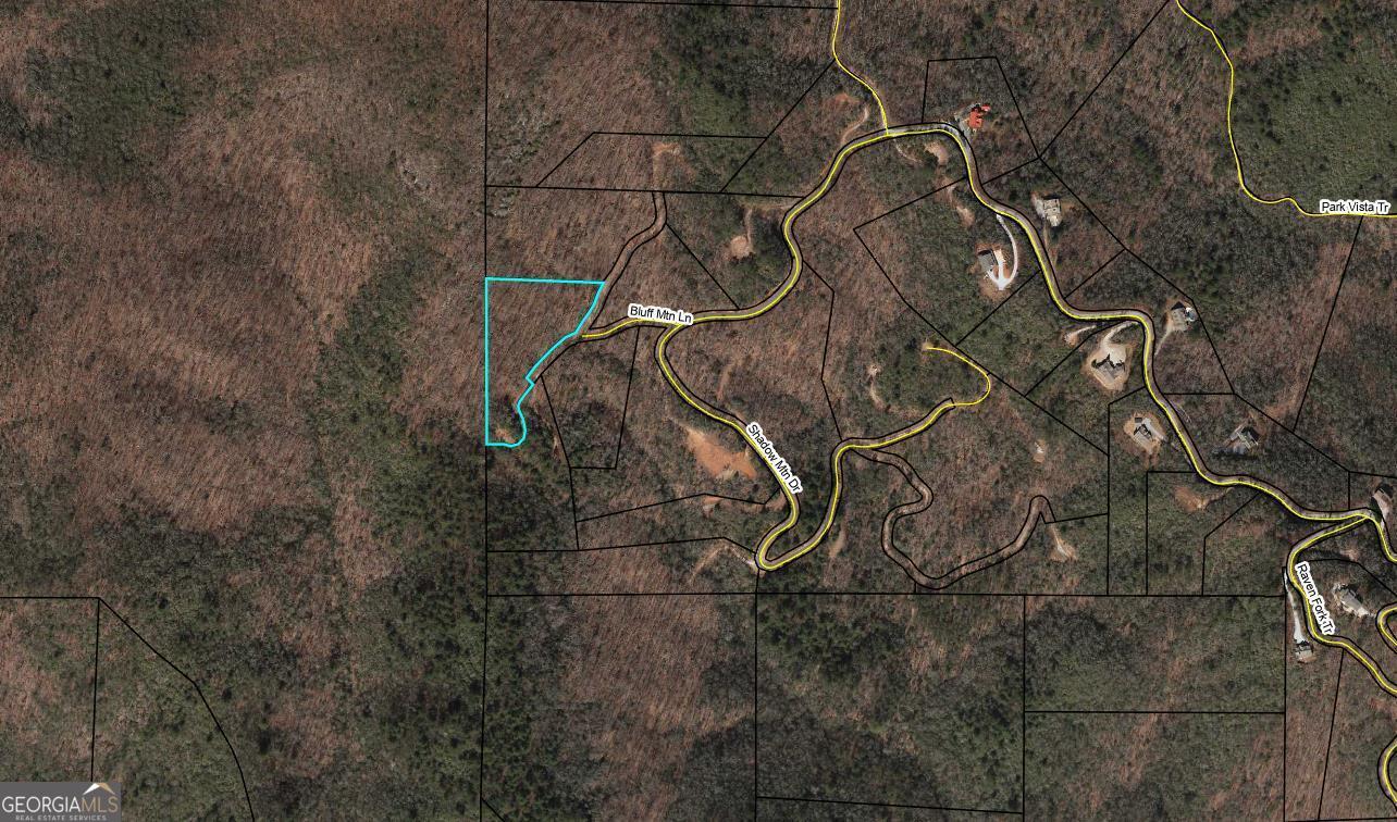 0 Bluff Mtn Property Photo 3