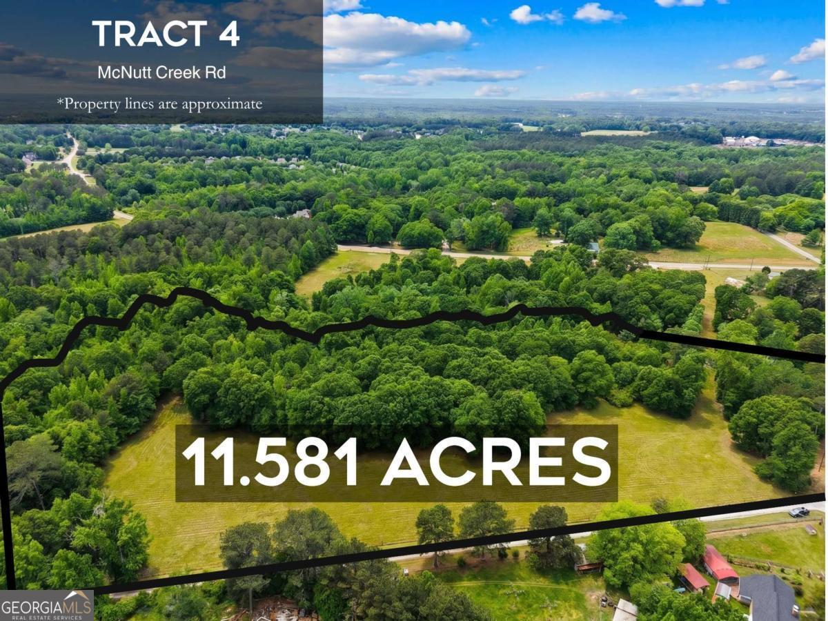 Tract 4 Mcnutts Creek Road Property Photo 1