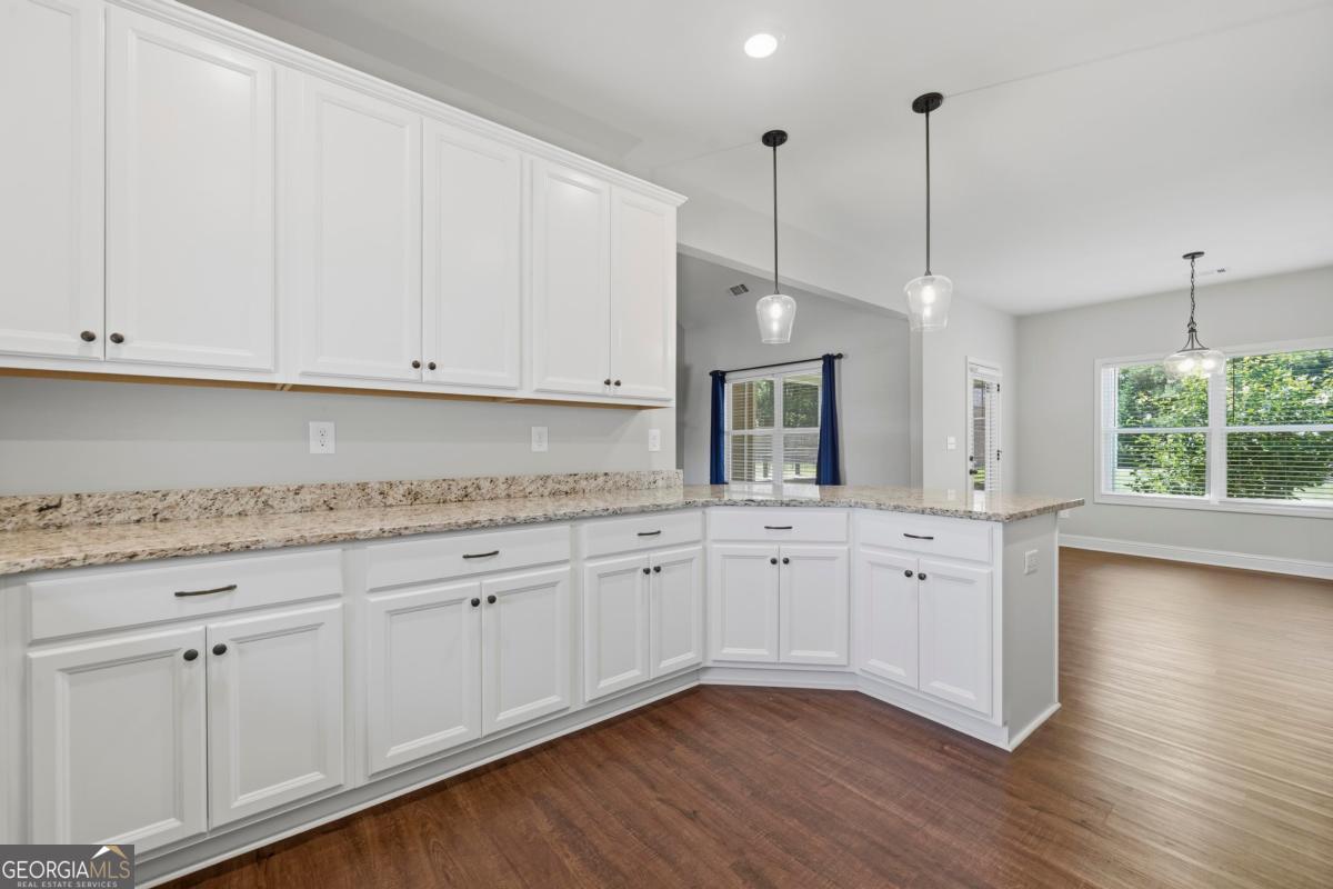 166 Alexander Lakes Drive Property Photo 13