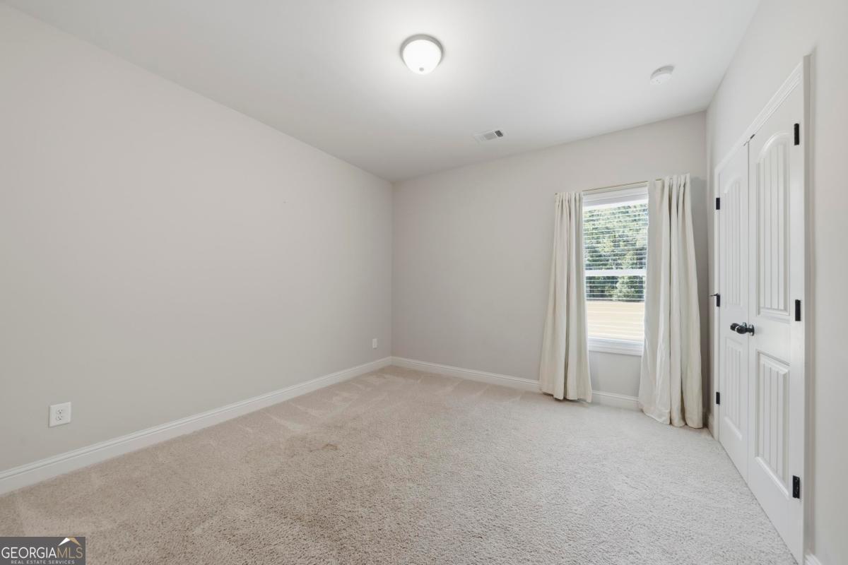 166 Alexander Lakes Drive Property Photo 25