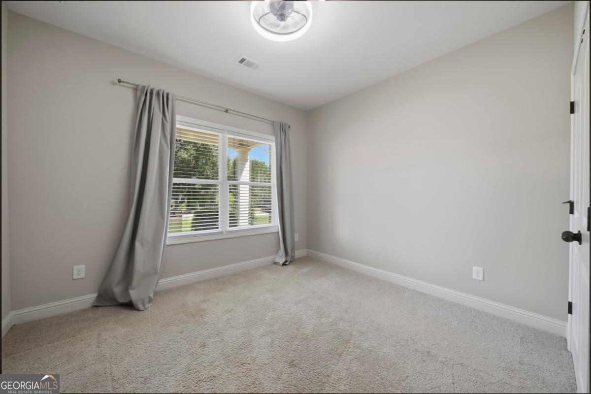 166 Alexander Lakes Drive Property Photo 28