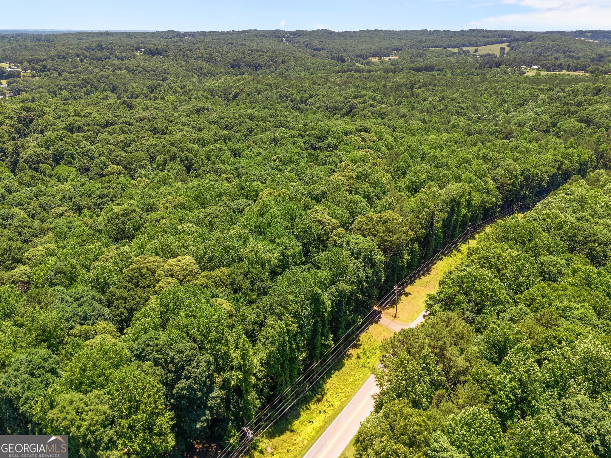 3807 Al Mangum Road Property Photo 48