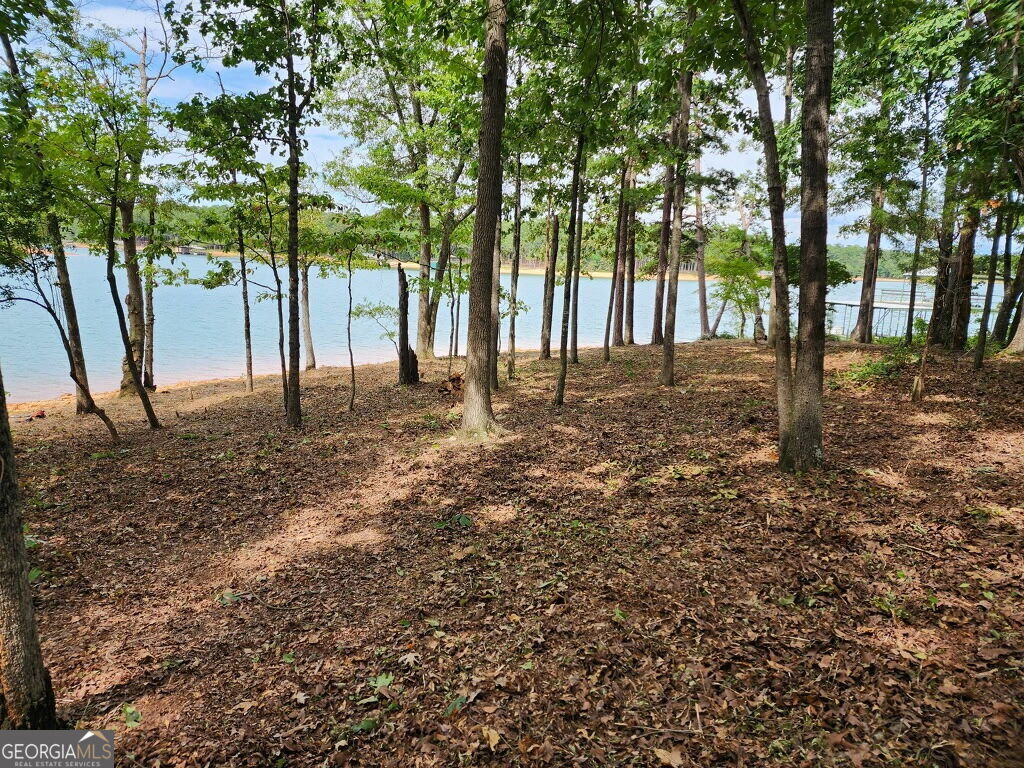 LOT 1 Pointe Sidney Drive