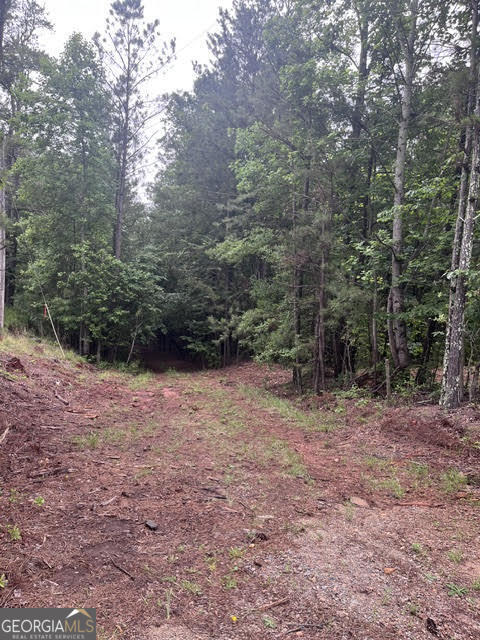 0 Dobbs Mountain Road Property Photo 1