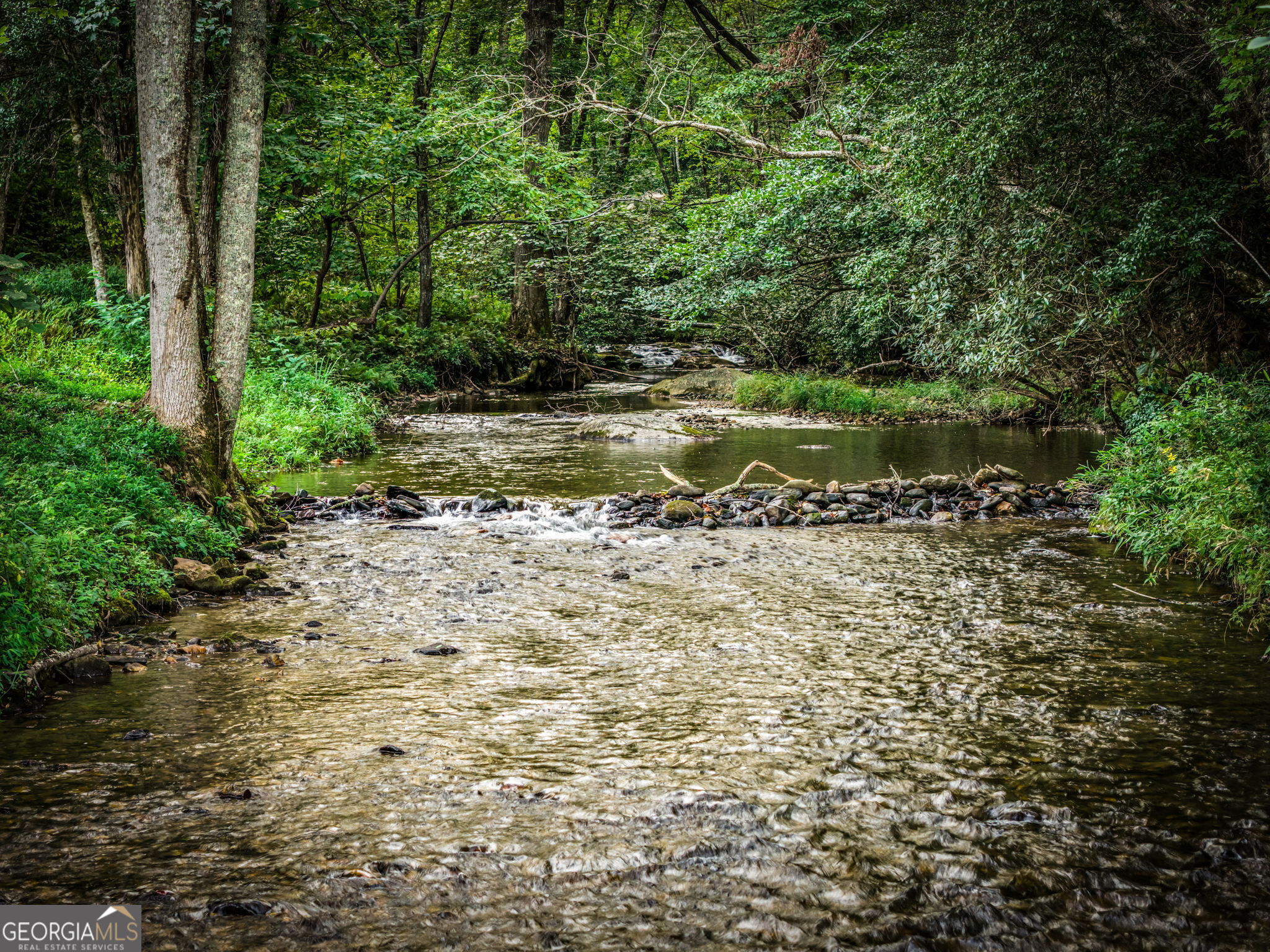 2632 Big Creek Road Property Photo 4