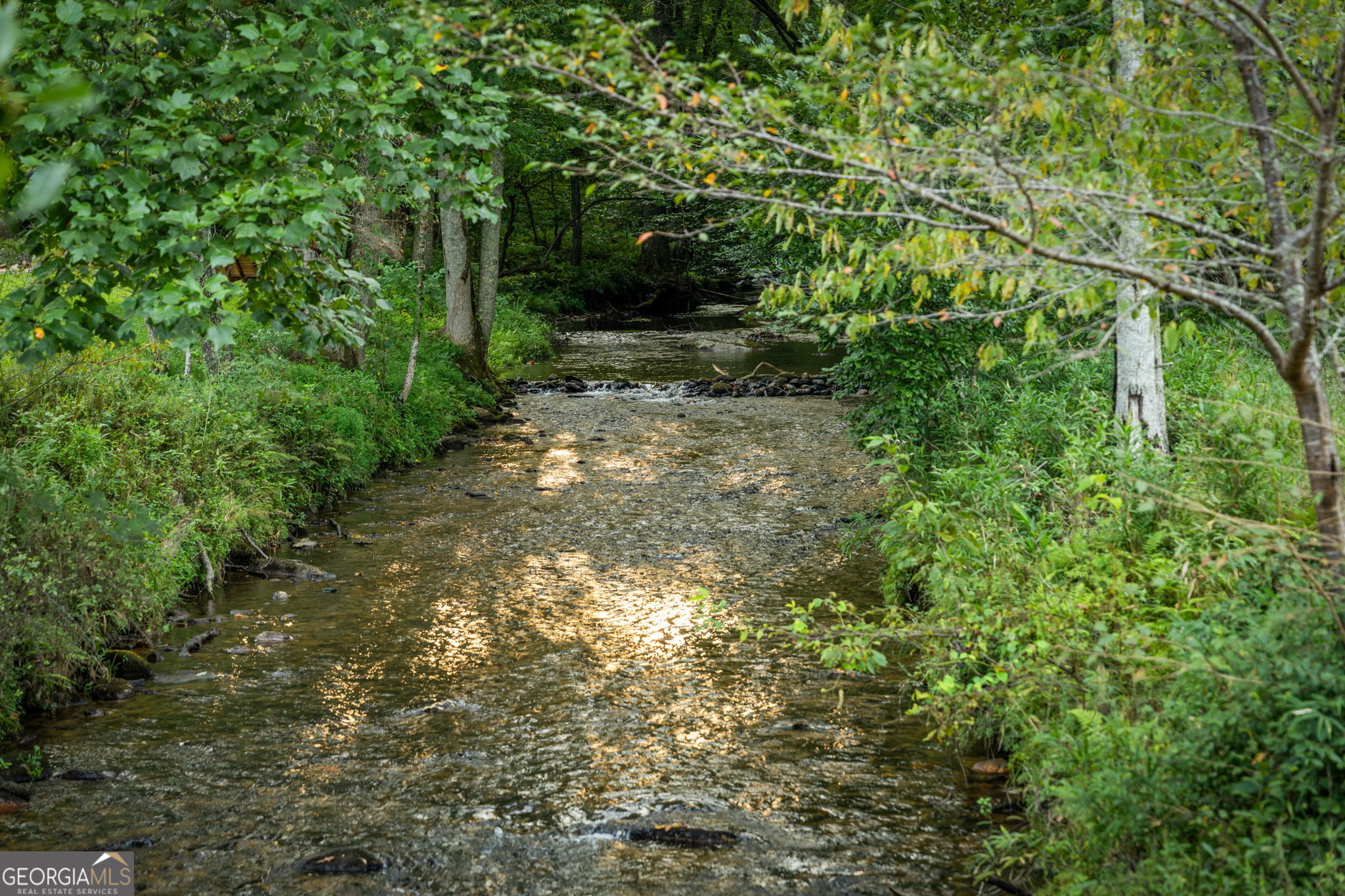 2632 Big Creek Road Property Photo 116