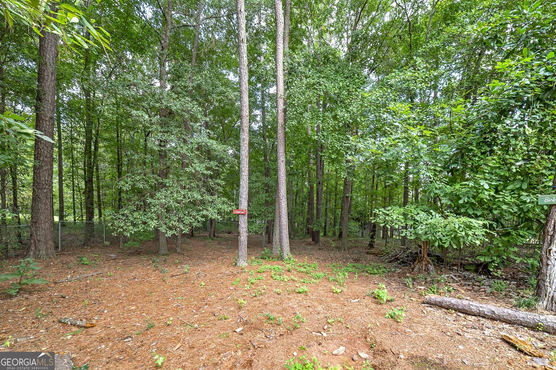 450 Lakeshore Drive Property Photo 6