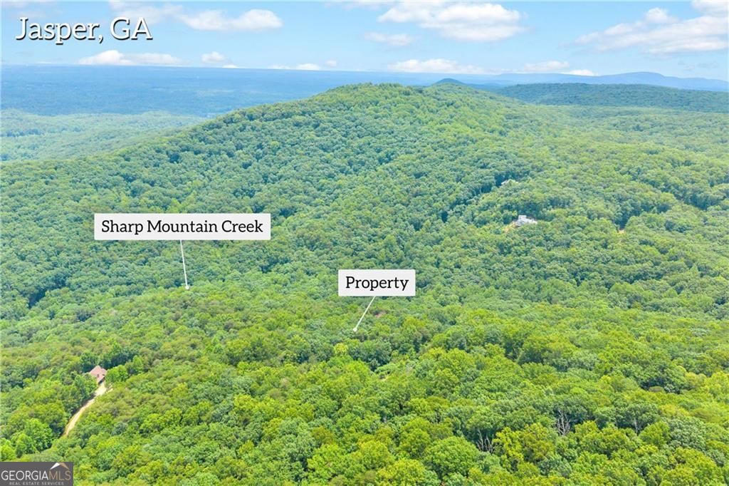 98 Sharp Mountain Parkway Property Photo 2
