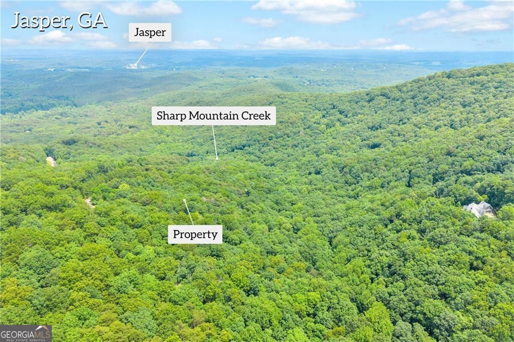 98 Sharp Mountain Parkway Property Photo 3