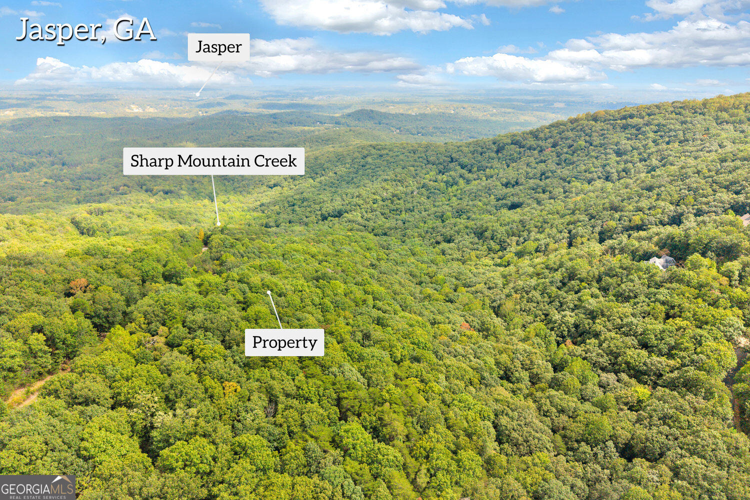 98 Sharp Mountain Parkway Property Photo 3