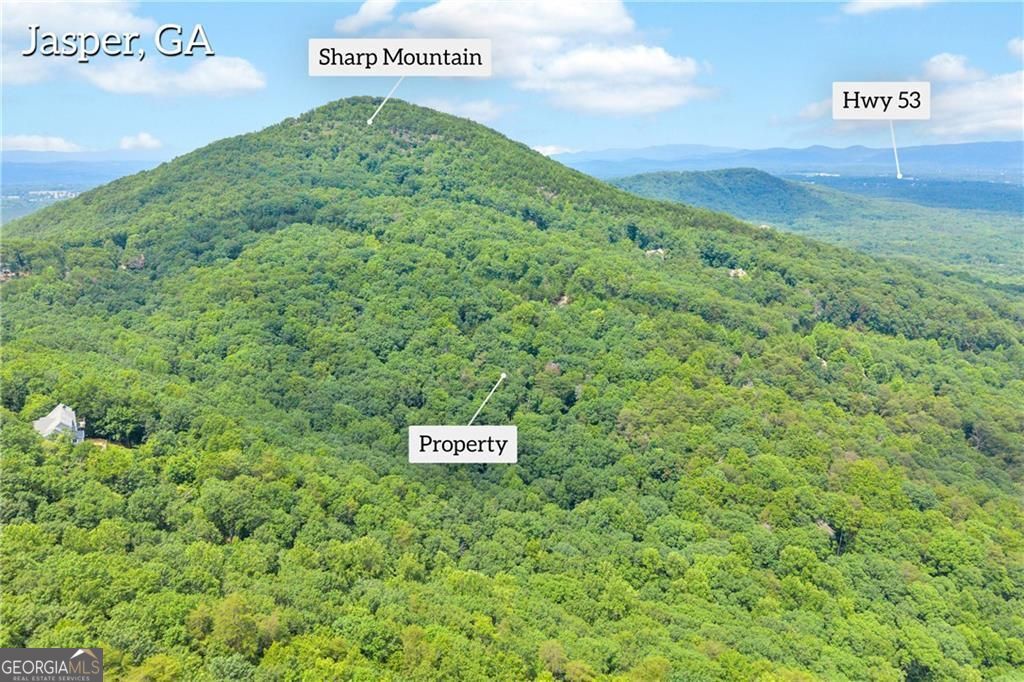 98 Sharp Mountain Parkway Property Photo 4
