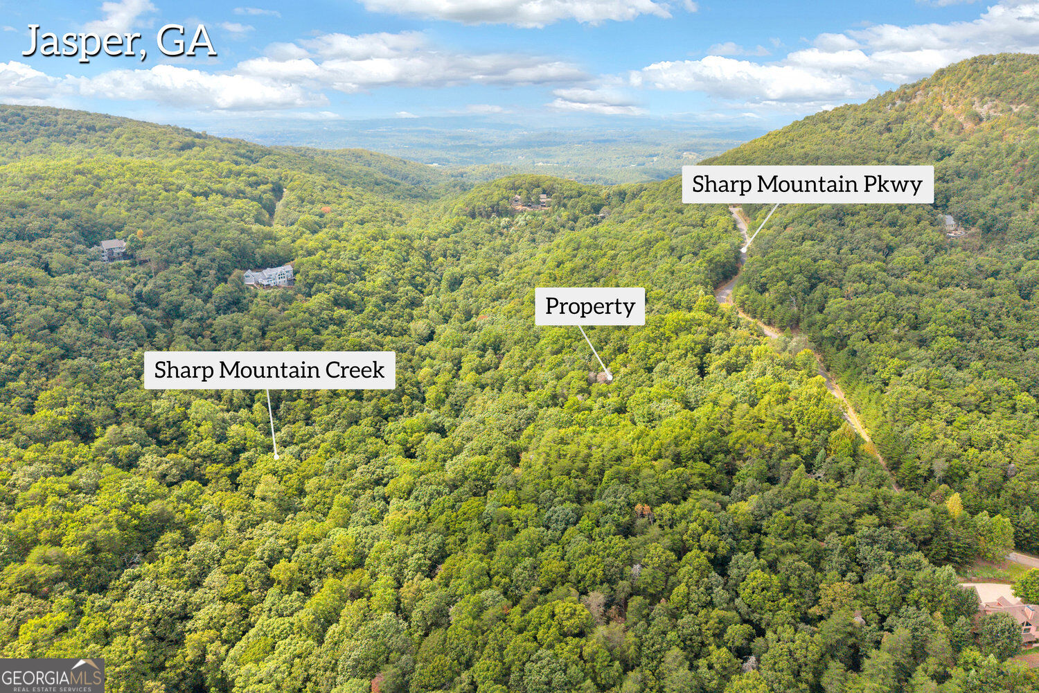 98 Sharp Mountain Parkway Property Photo 5
