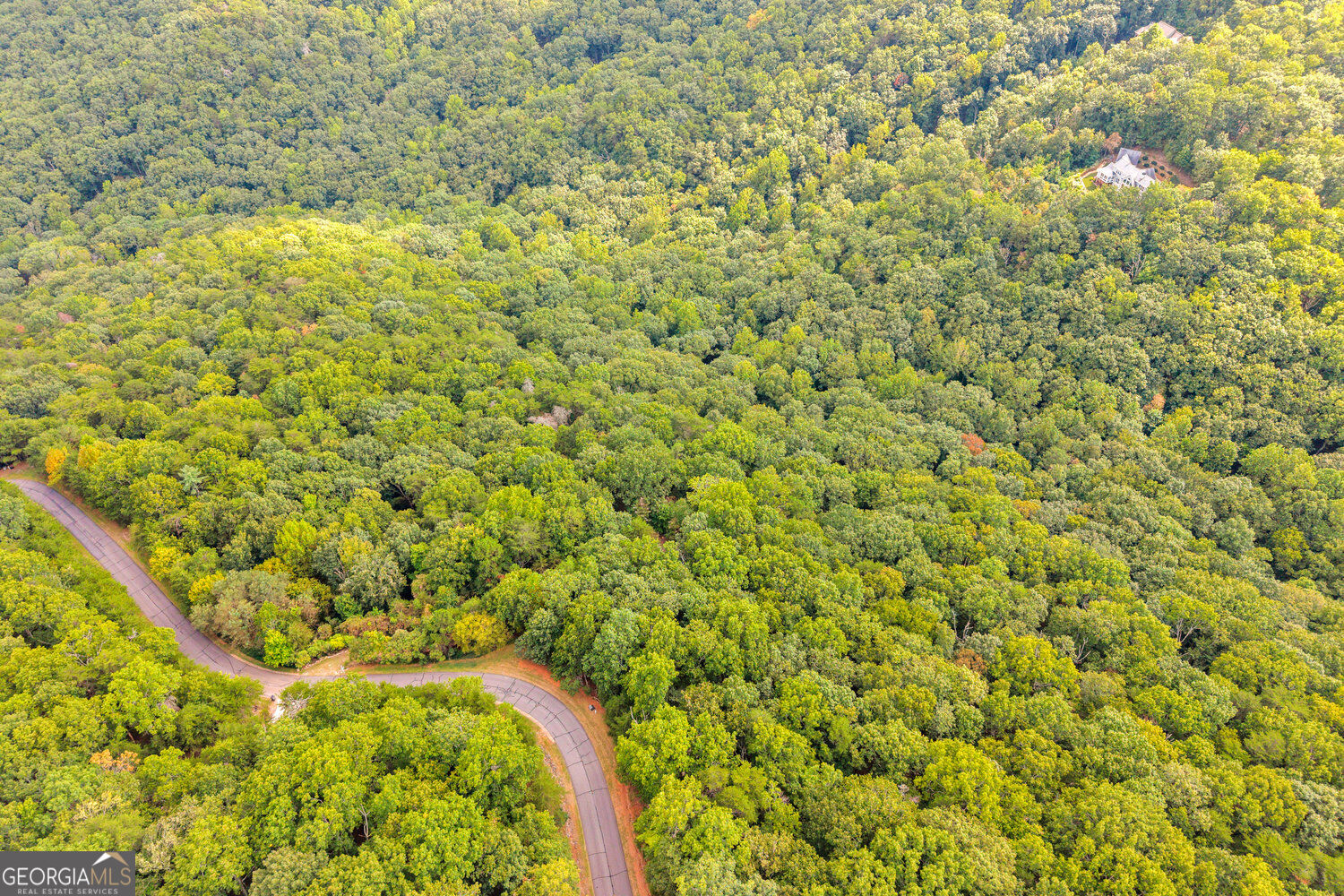 98 Sharp Mountain Parkway Property Photo 6