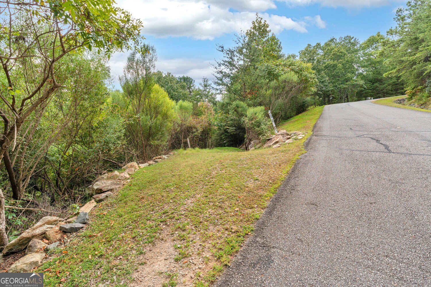 98 Sharp Mountain Parkway Property Photo 7