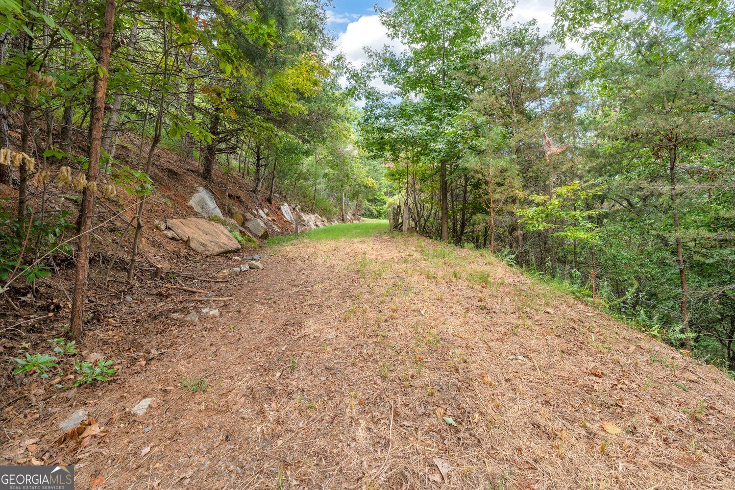 98 Sharp Mountain Parkway Property Photo 8