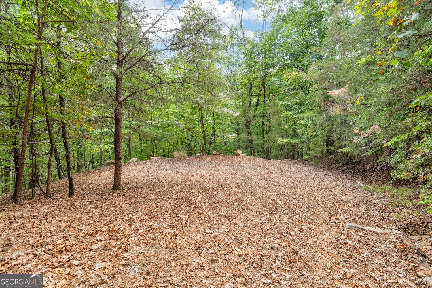 98 Sharp Mountain Parkway Property Photo 9