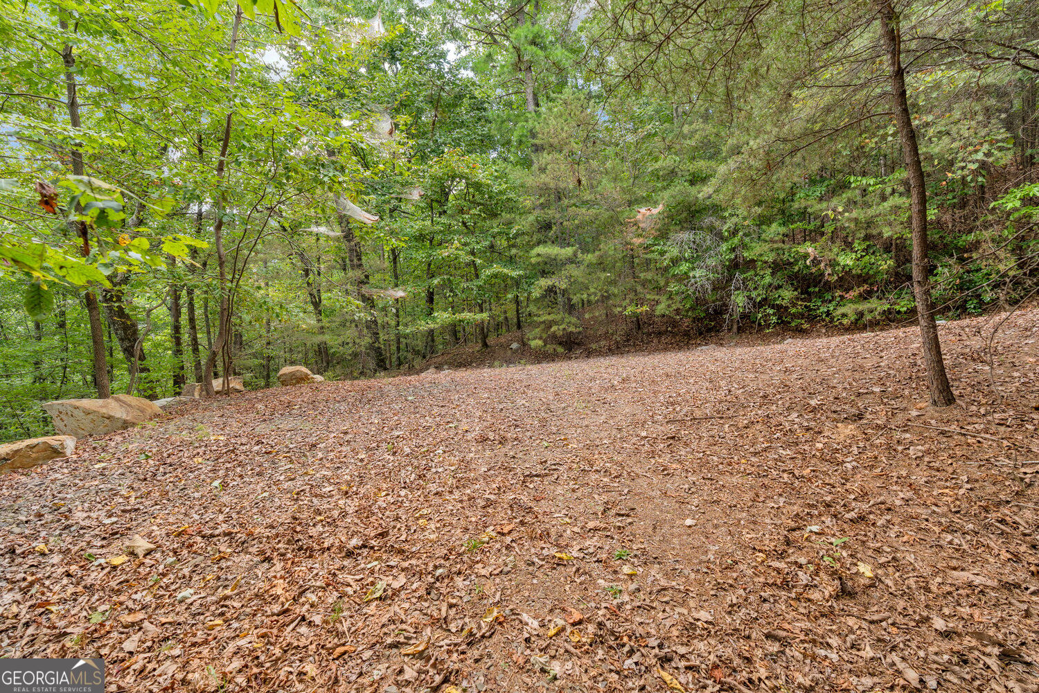 98 Sharp Mountain Parkway Property Photo 10