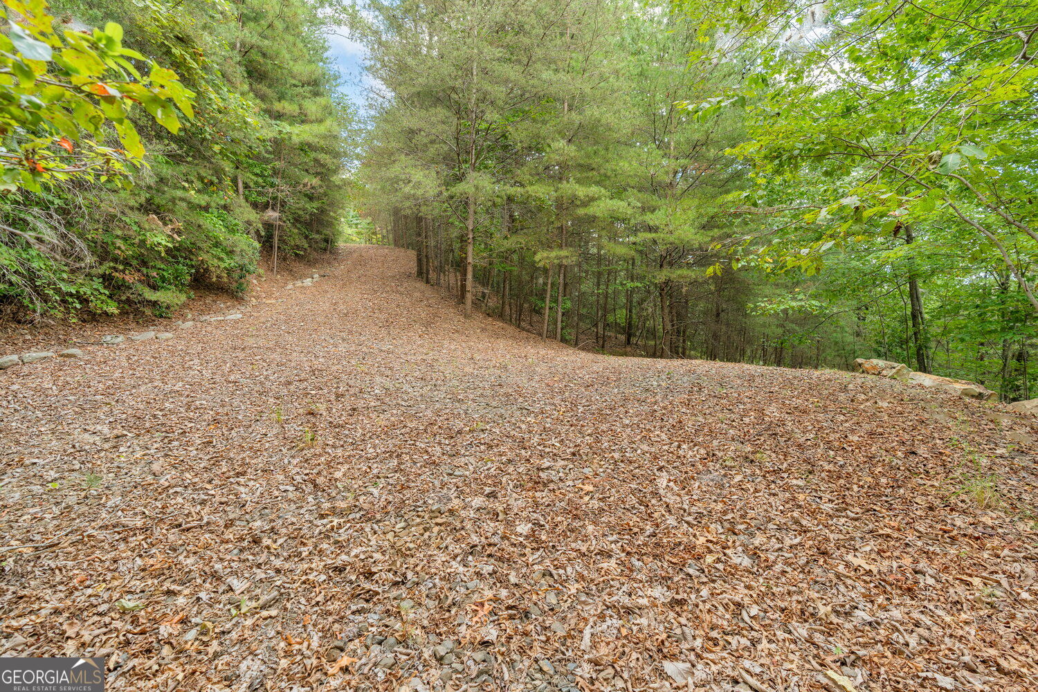 98 Sharp Mountain Parkway Property Photo 11
