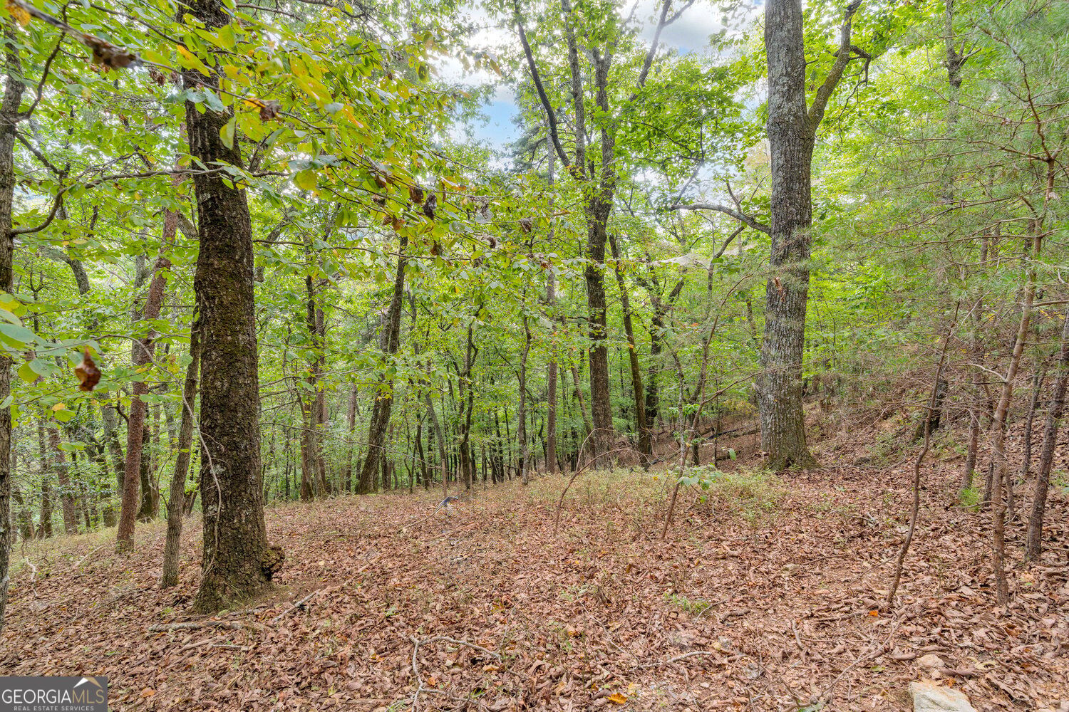 98 Sharp Mountain Parkway Property Photo 12