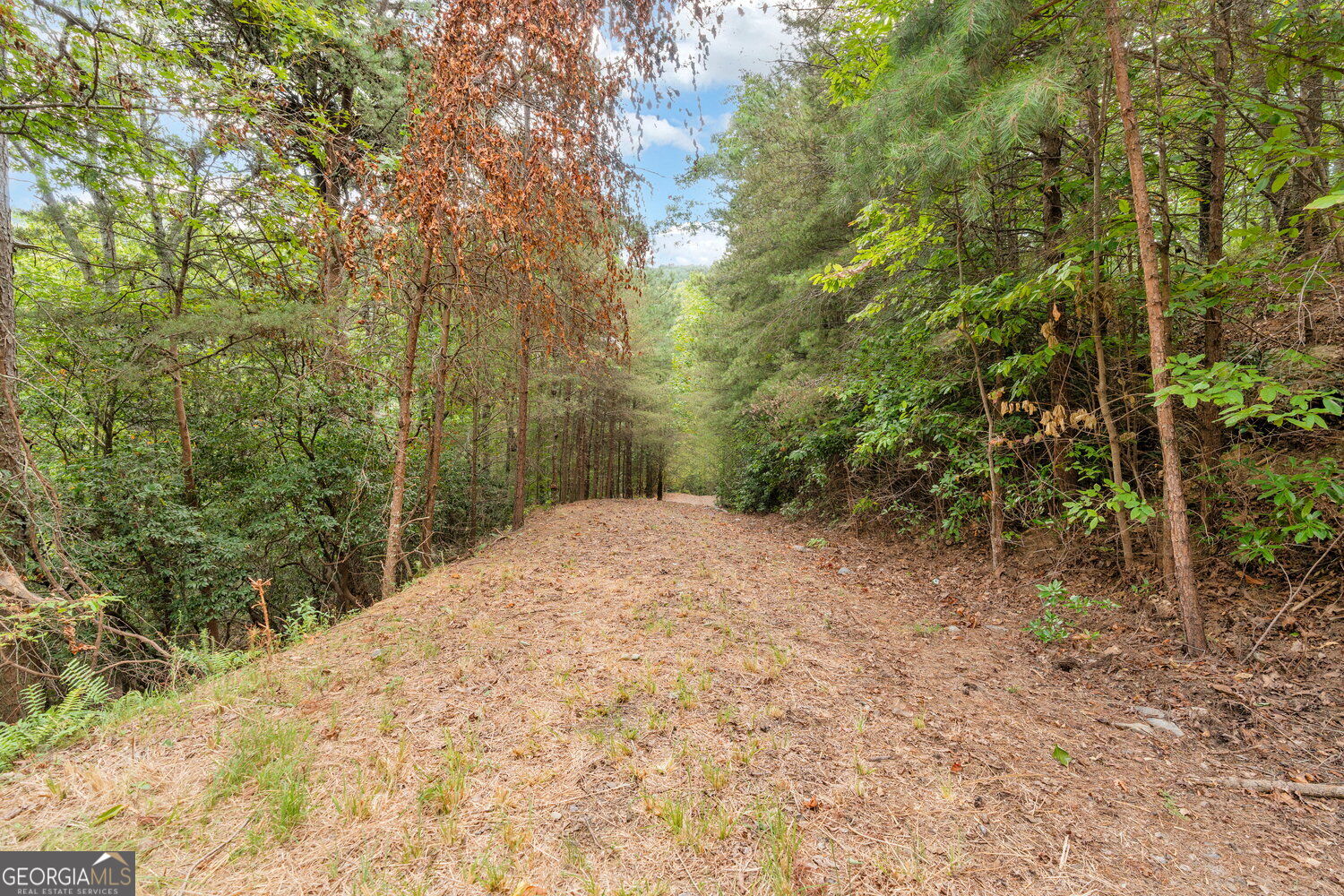 98 Sharp Mountain Parkway Property Photo 13