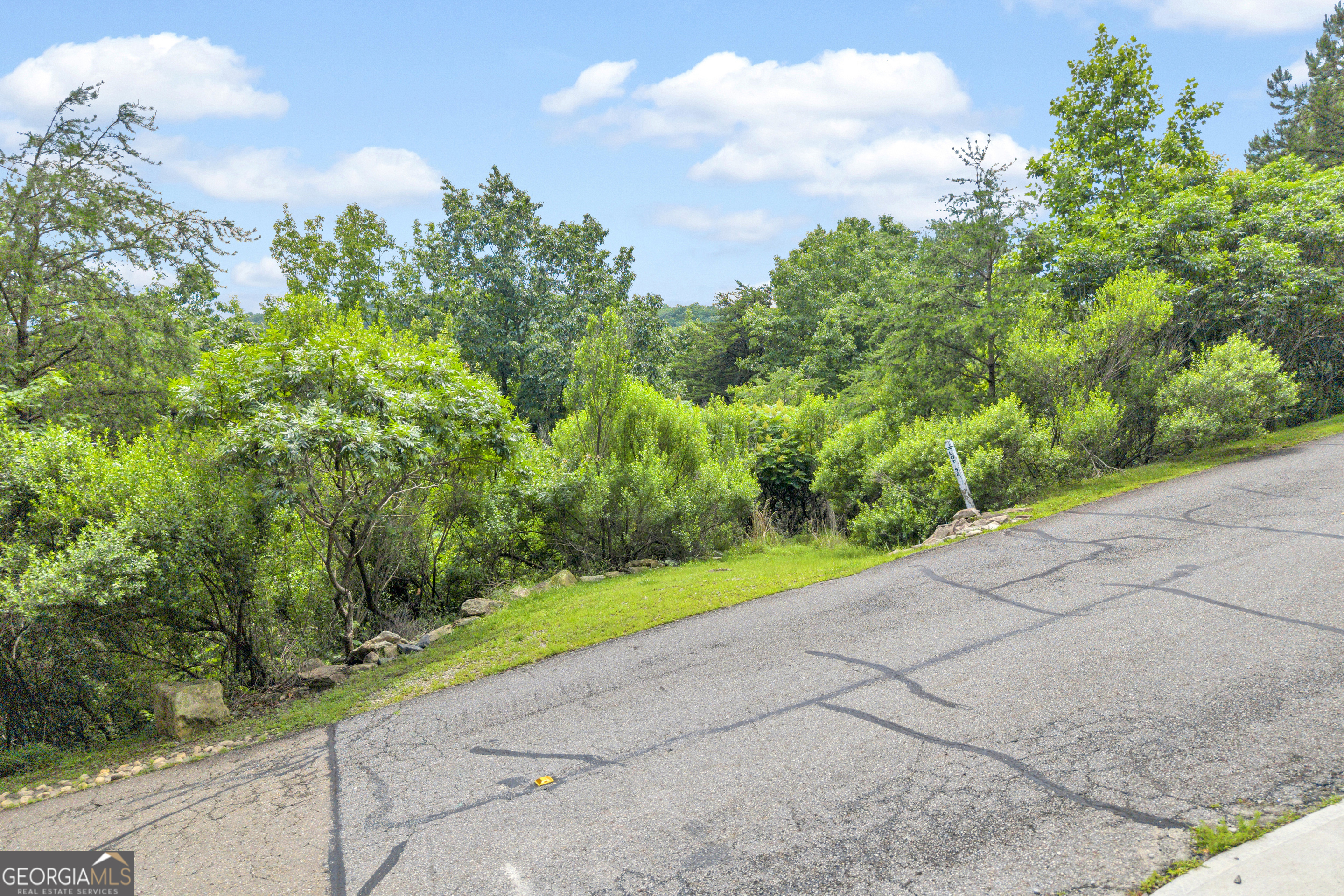 98 Sharp Mountain Parkway Property Photo 15