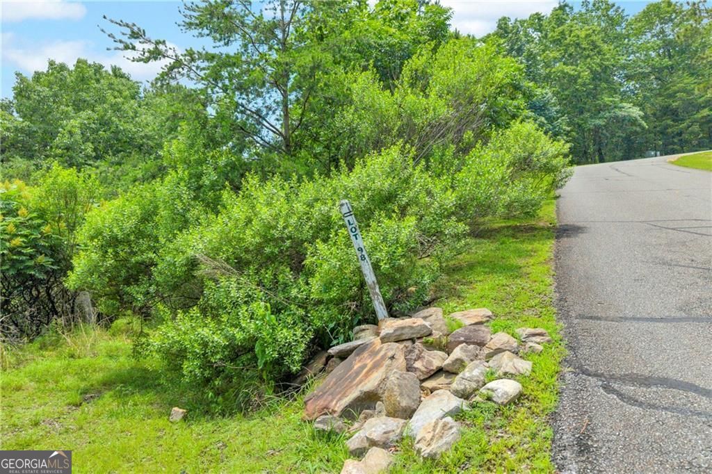 98 Sharp Mountain Parkway Property Photo 16