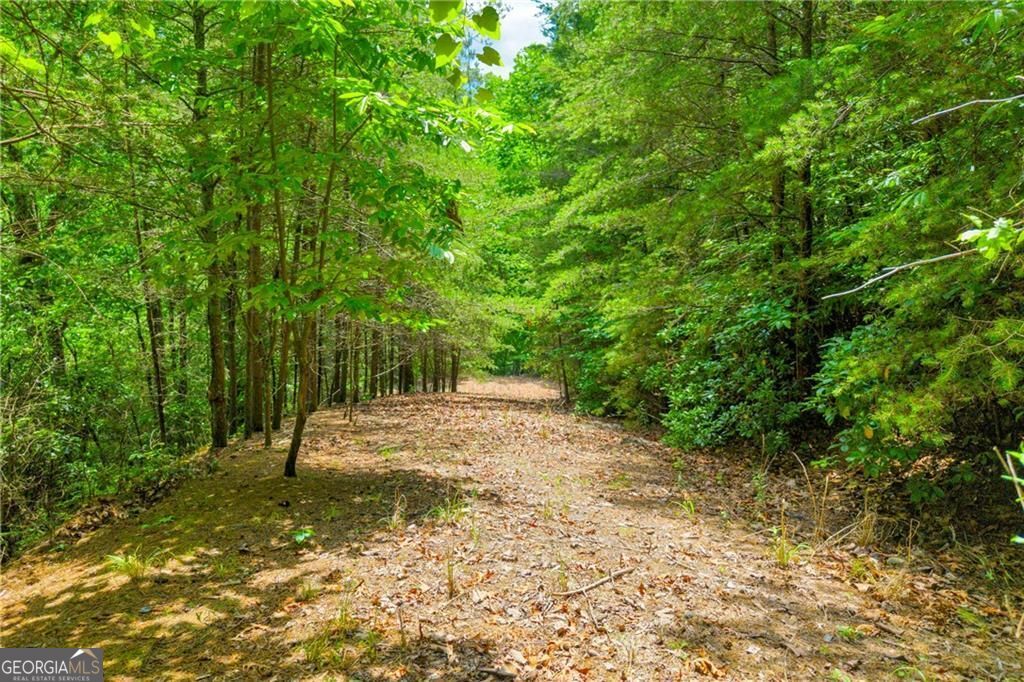 98 Sharp Mountain Parkway Property Photo 17