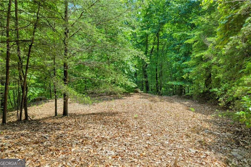 98 Sharp Mountain Parkway Property Photo 18