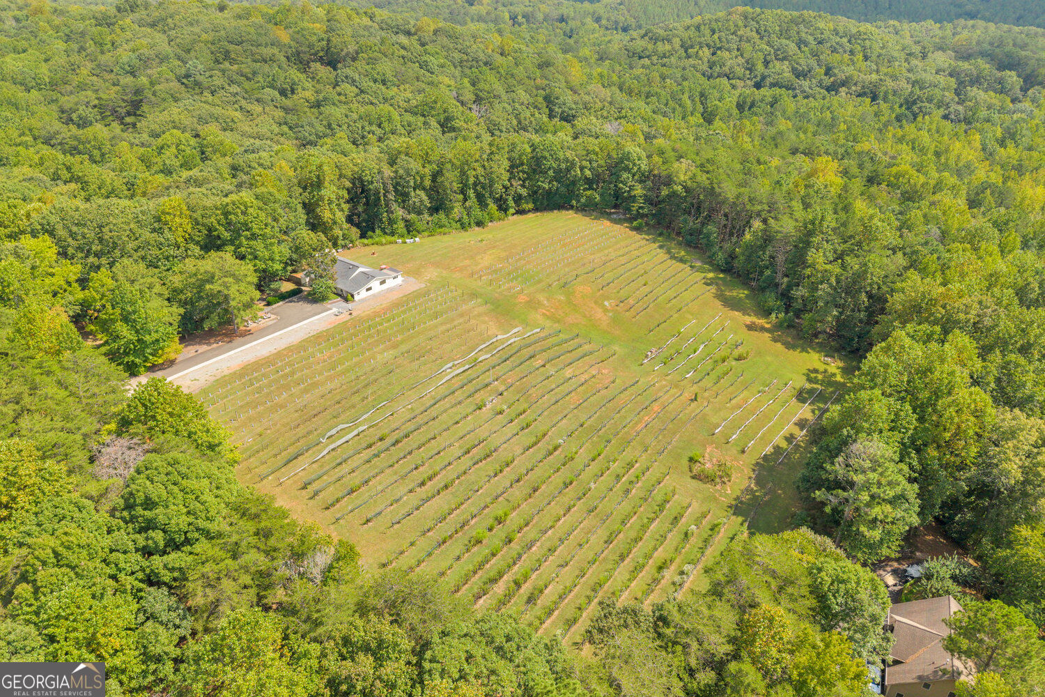98 Sharp Mountain Parkway Property Photo 26
