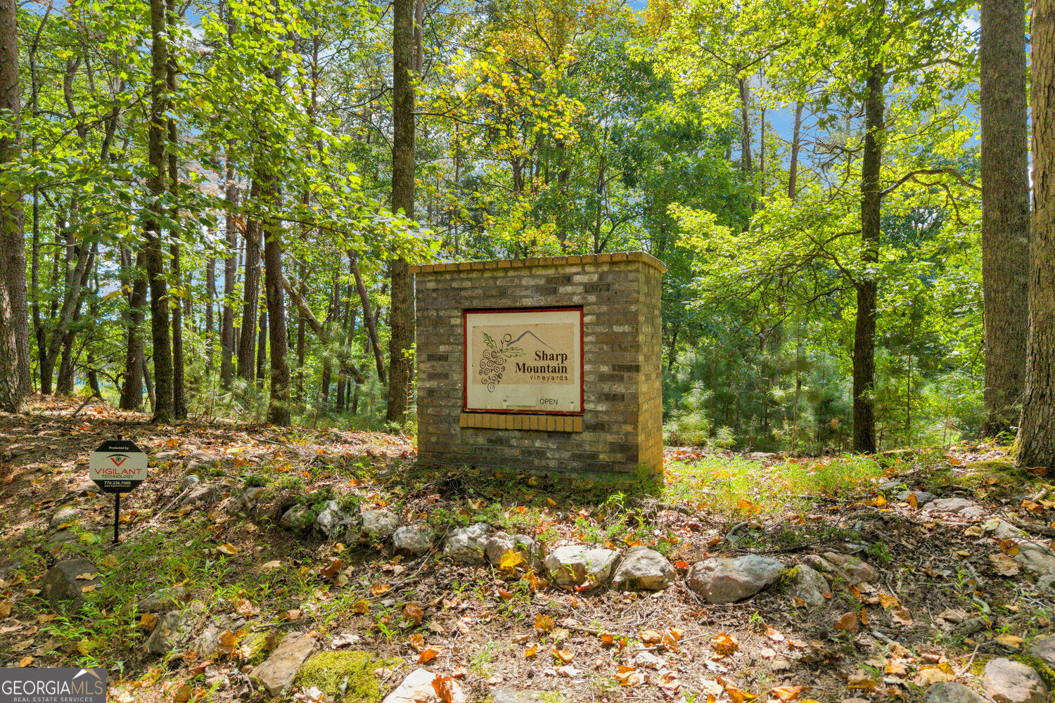 98 Sharp Mountain Parkway Property Photo 27