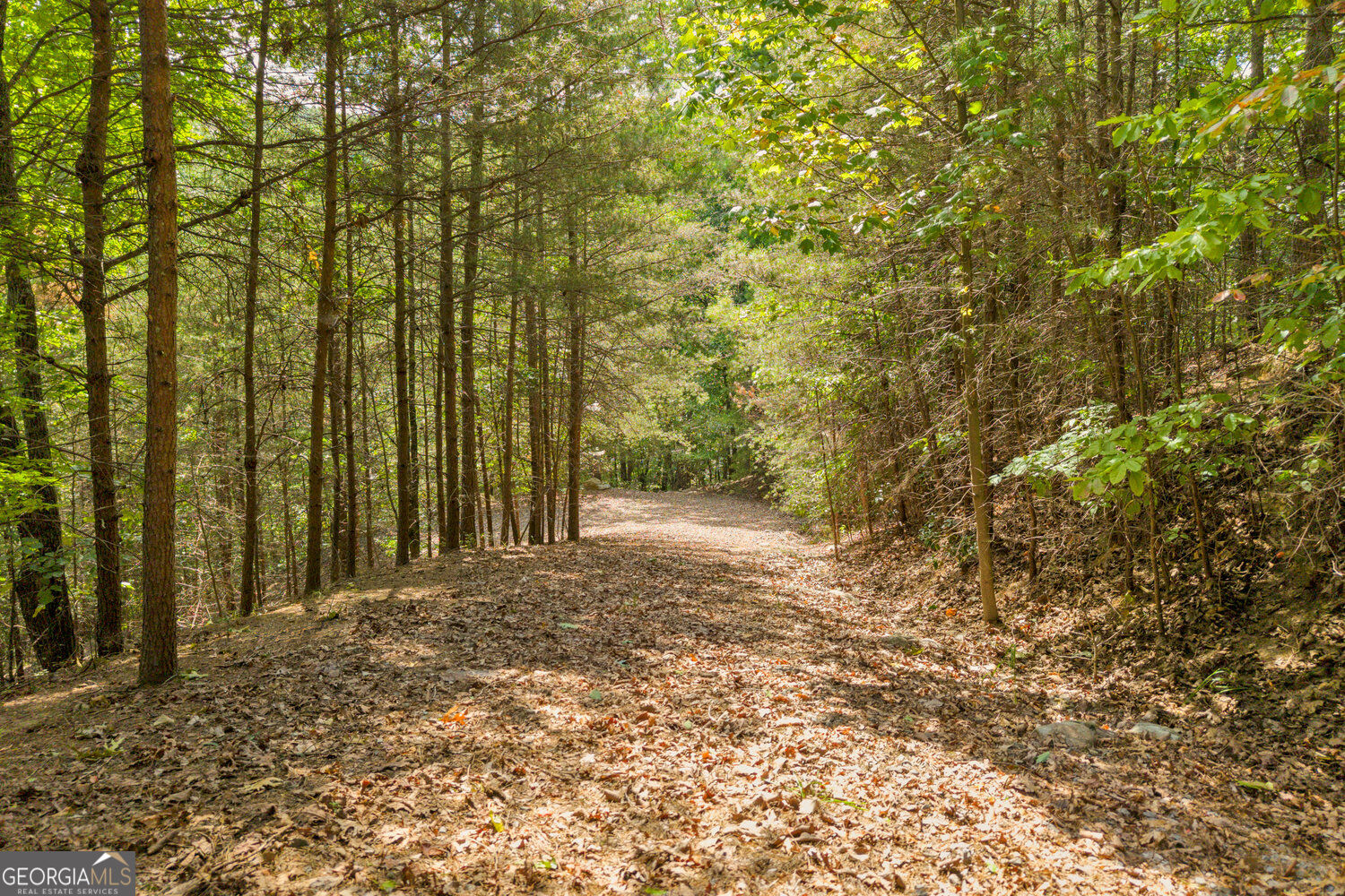98 Sharp Mountain Parkway Property Photo 34