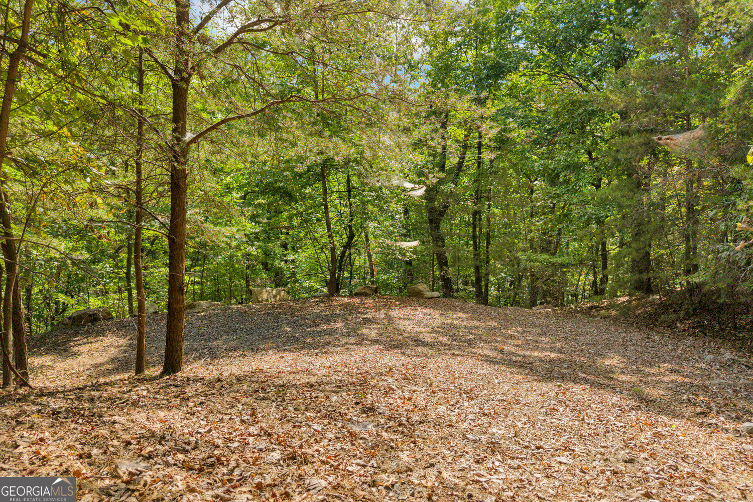 98 Sharp Mountain Parkway Property Photo 35
