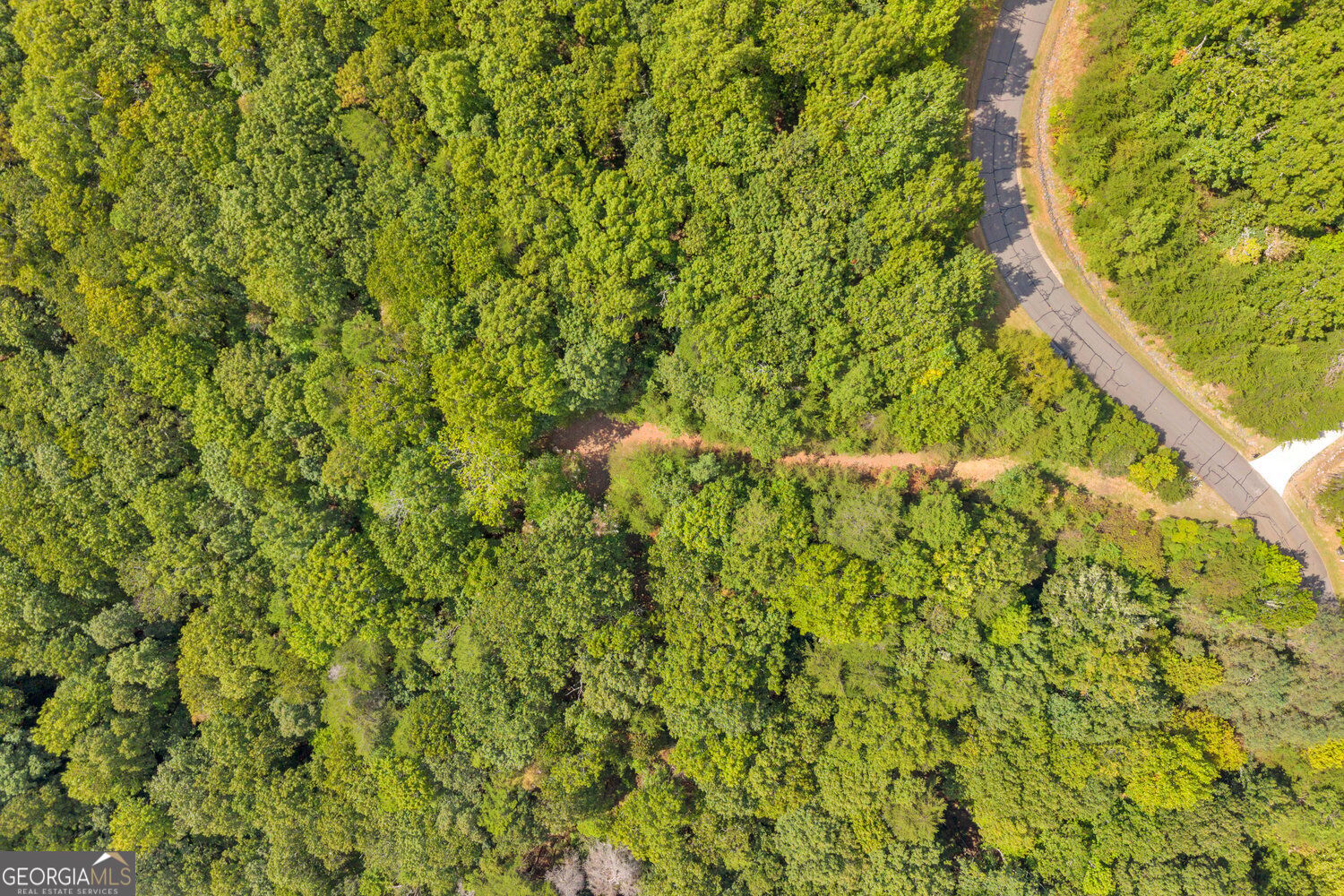 98 Sharp Mountain Parkway Property Photo 36