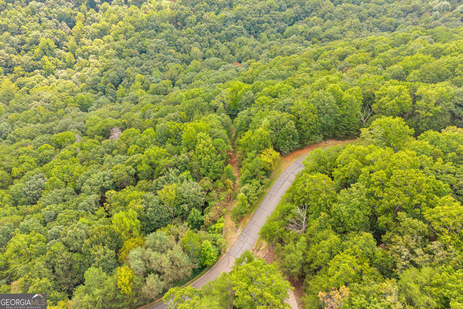98 Sharp Mountain Parkway Property Photo 37