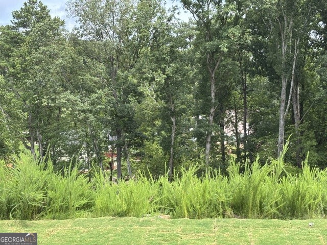 2781 Apperson Way Trail Property Photo 9
