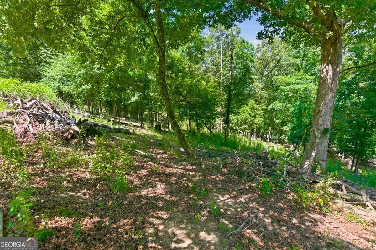 0 Williams Road Se Property Photo 15
