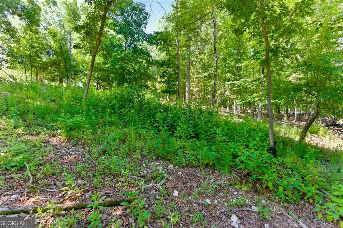 0 Williams Road Se Property Photo 17