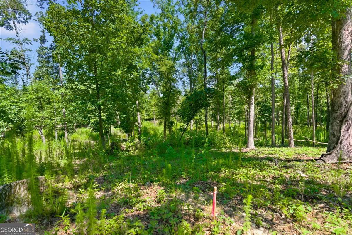 0 Williams Road Se Property Photo 18