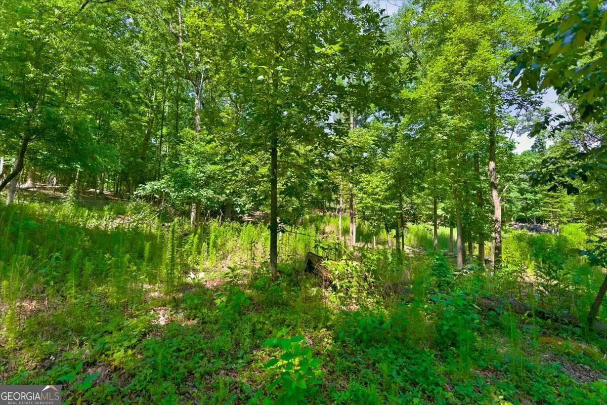 0 Williams Road Se Property Photo 19