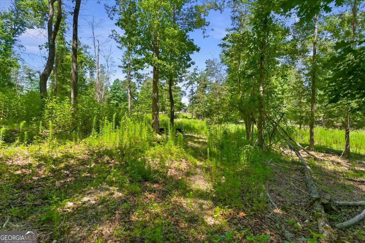 0 Williams Road Se Property Photo 25